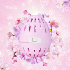 SB Laundry Egg hero image