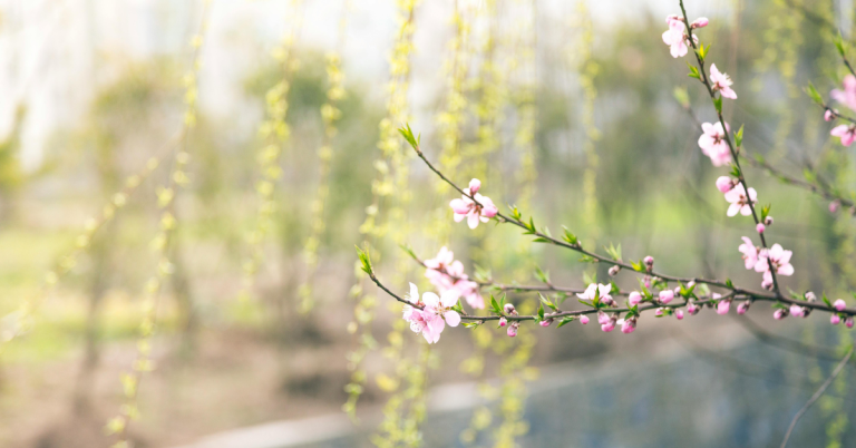 Ecoegg blog images 13