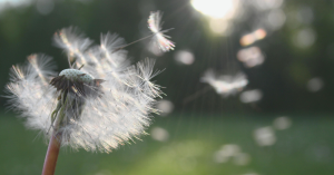 Ecoegg blog images 25